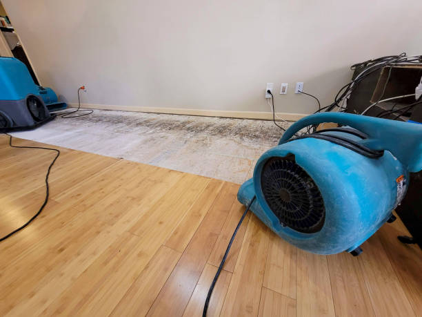 Professional Structural Drying technician working in Hanover, MD